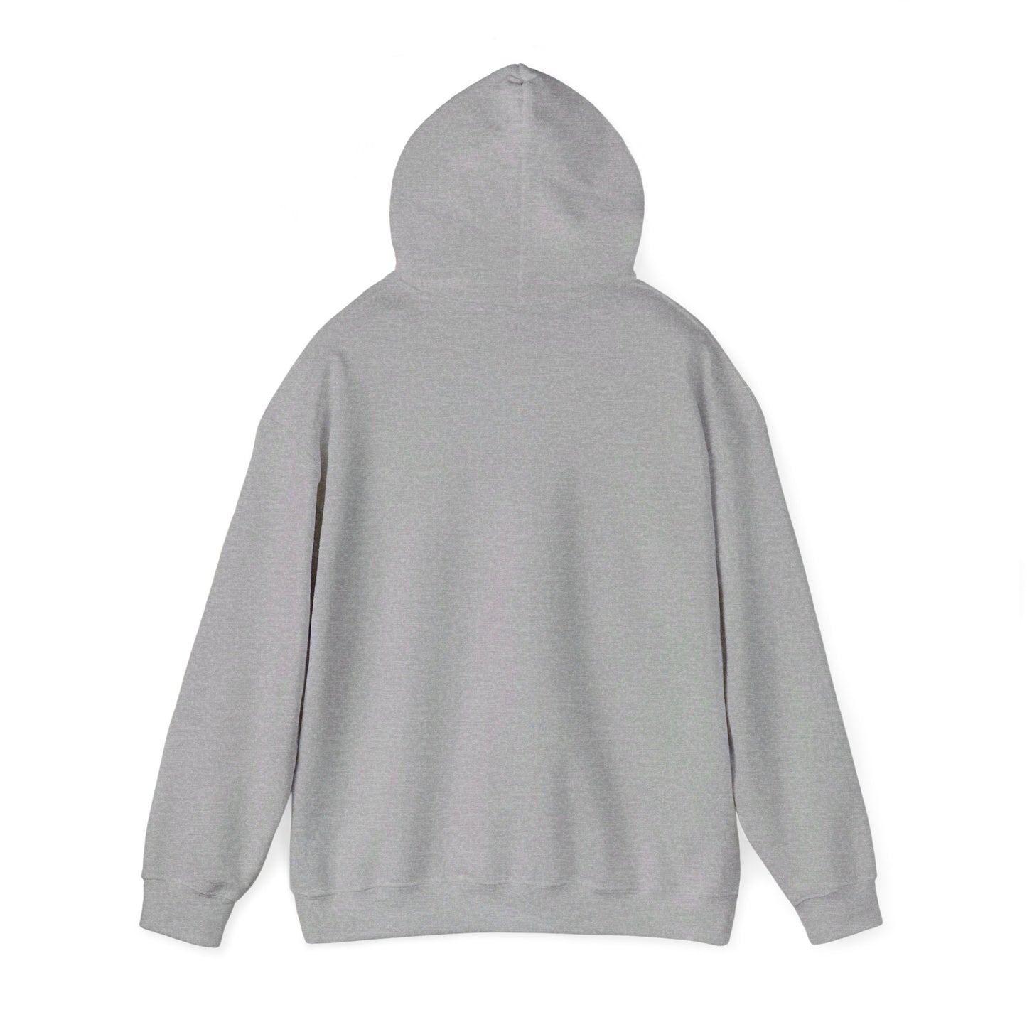 anonymous heavy blend™ hooded sweatshirt